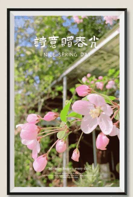 创建天府旅游名县｜古诗词里的绵竹，竟然可以这么美